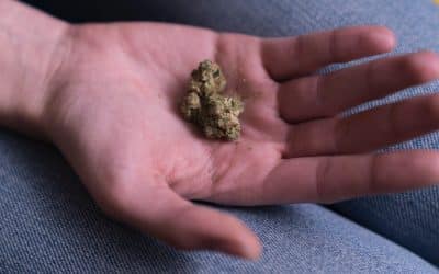 Medical Marijuana For Pain