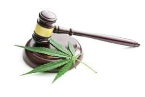 Understanding The Laws Around Medical Marijuana Doctors In Maryland