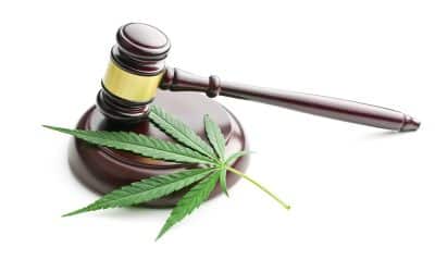 Understanding The Laws Around Medical Marijuana Doctors In Maryland