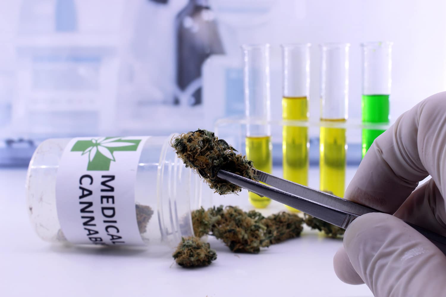 What To Expect During Your Consultation With A Medical Marijuana Doctor In Maryland 5