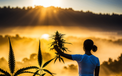 Reclaim Your Wellbeing In Milford, MD: Leading Medical Cannabis Practitioners Revealed