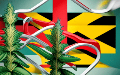 Unraveling the Potential of Cannabis in upending Traditional Medicine in Maryland