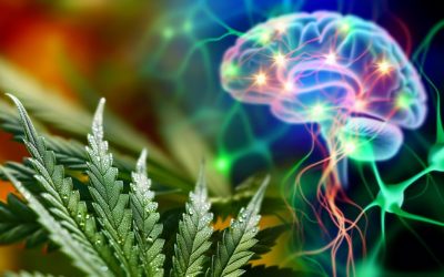 The Science Behind Cannabis and Its Effects on Neurological Disorders