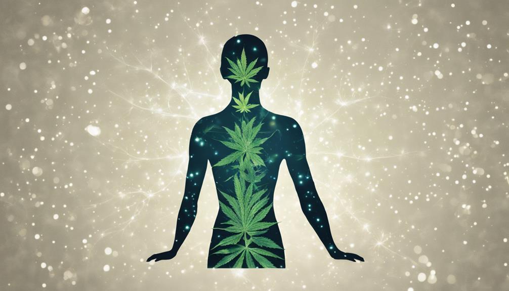 cannabis for chronic pain