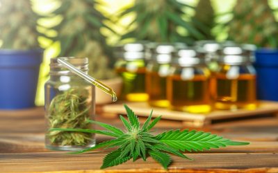 Medical Cannabis Overview and Uses
