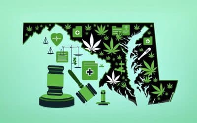 Maryland’s Medicinal Greenery: The 2024 Guide to Medical Cannabis