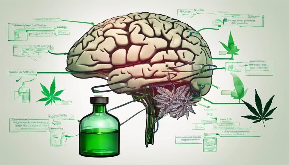 informative guide to epilepsy