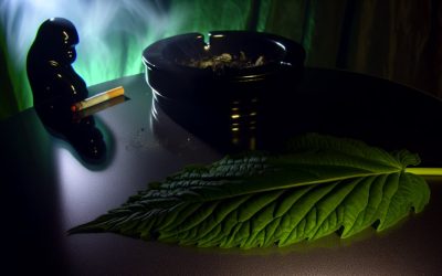 Marijuana Use Tied to Higher Risk of Certain Cancers