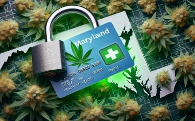 Maryland’s MMJ Card: Unlocking Superior Cannabis Benefits Over Recreational Use