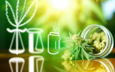 Medical Cannabis in the United States Legal and Regulatory Perspectives