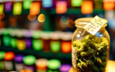 Is the 12% Adult-Use Tax Changing Pricing for Medical Marijuana in Baltimore?