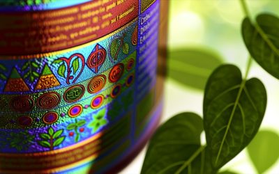 Understanding New Maryland THC Product Labeling Standards and What Patients Should Know