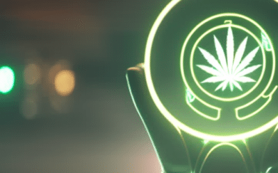 To Drive or Not to Drive: The Impact of Medical Cannabis on Motor Skills